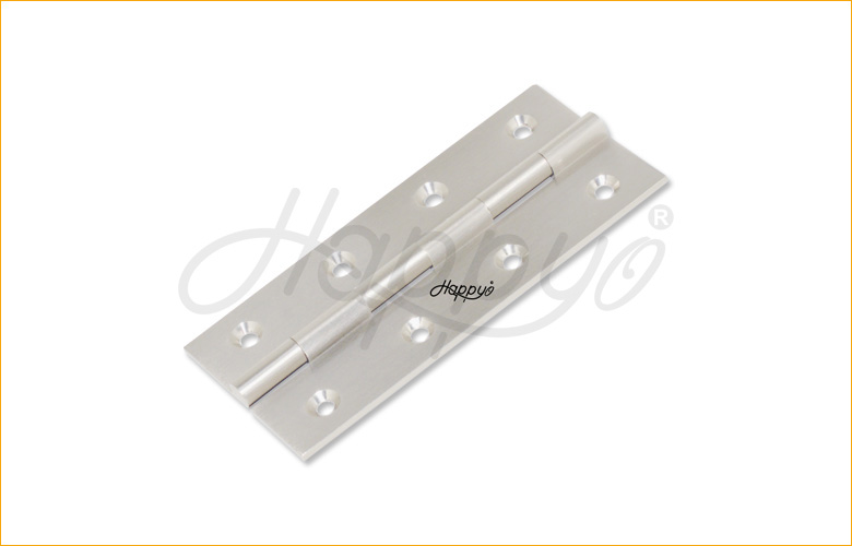 Brass Hinges